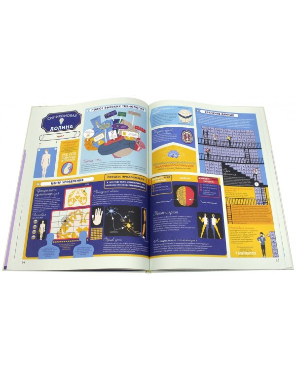 Анатомия. Картография человеческого тела