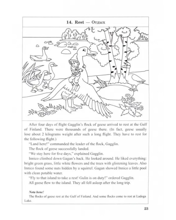 Gnome Innico - Colouring Fairy Tale in English