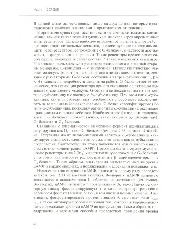 Руководство по кардиологии. Том 1. Физиология и патофизиология сердечно-сосудистой системы