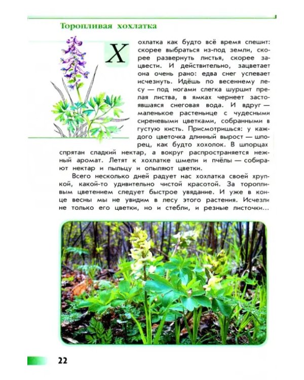 Зелёные страницы. Книга для учащихся начальных классов. ФГОС