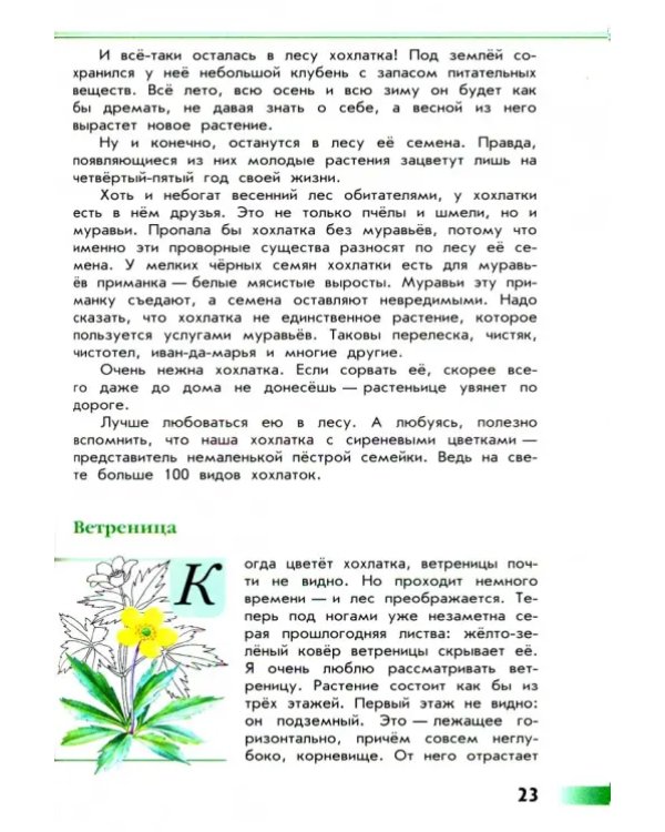 Зелёные страницы. Книга для учащихся начальных классов. ФГОС