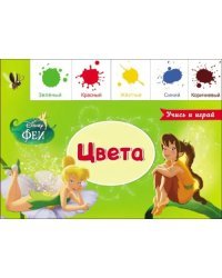 Лесенка. Цвета