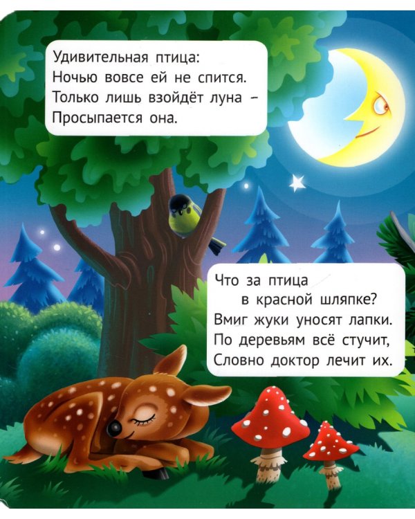 Загадки о животных