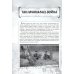 Невыдуманные истории из русской истории. Трудные дороги к победе