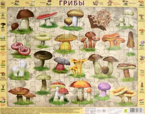 Пазл на подложке. Грибы, 63 элемента