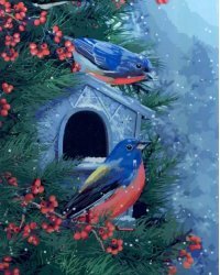 Холст с красками. Красивые зимние птицы