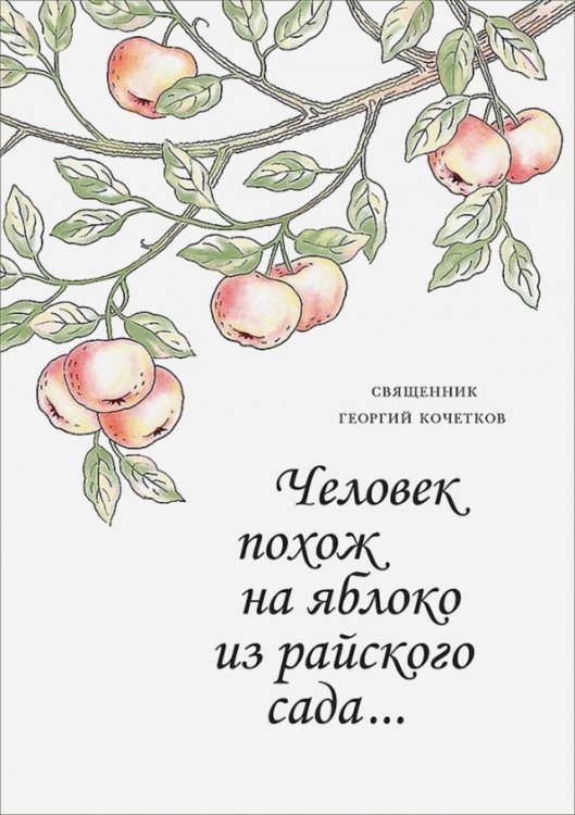 Человек похож на яблоко из райского сада Человек похож на яблоко из райского сада