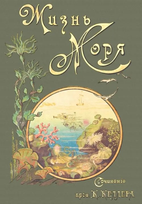 Жизнь моря