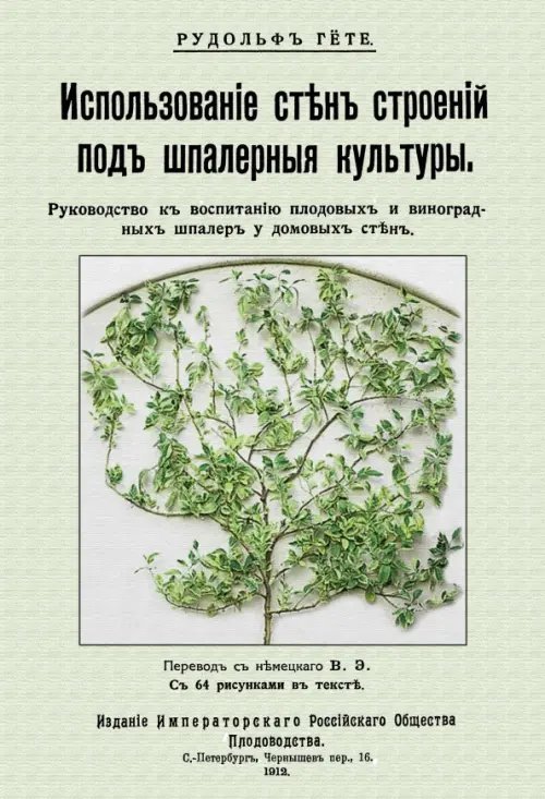 Использование стен строений под шпалерные культуры Использование стен строений под шпалерные культуры