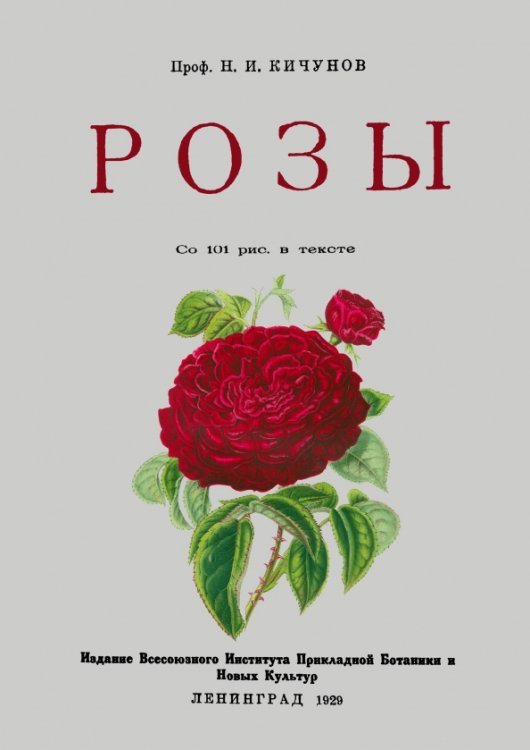 Розы