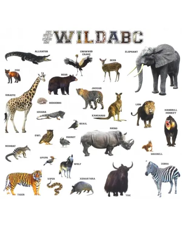 Английский алфавит "WildABC"