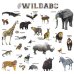 Английский алфавит "WildABC"