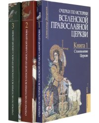 Очерки по истории Вселенской Православной Церкви. В 3-х томах (комплект)