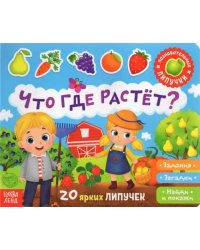 Книжка с липучками &quot;Что где растет?&quot;