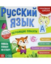 Обучающие плакаты &quot;Русский язык&quot;