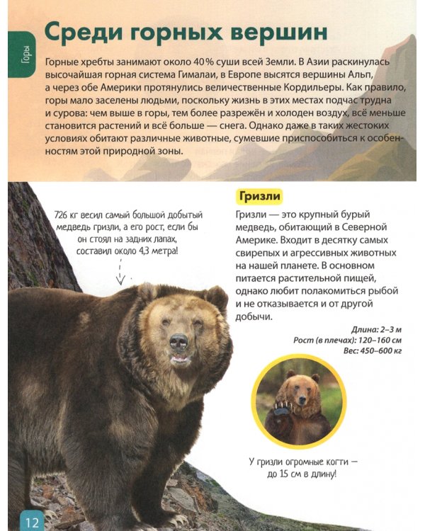 Детская энциклопедия "Животные"