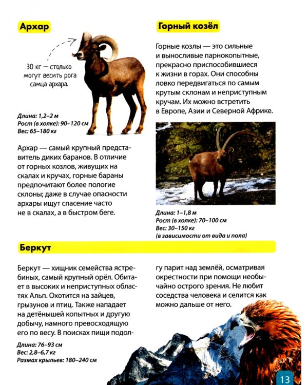 Детская энциклопедия "Животные"