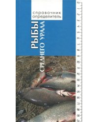 Рыбы Среднего Урала. Справочник-определитель