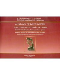Анатомия костной системы. Рабочая тетрадь к учебному пособию на английском языке