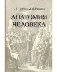 Анатомия человека