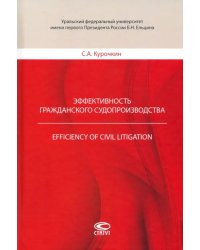 Эффективность гражданского судопроизводства