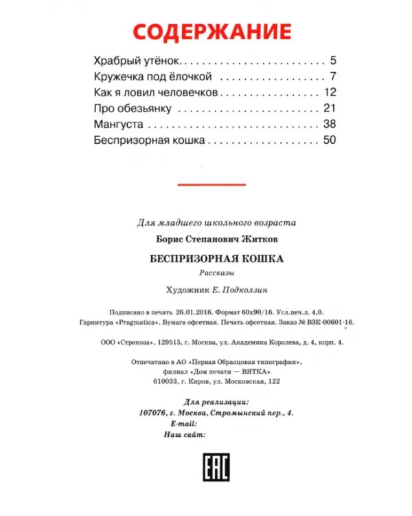 Беспризорная кошка