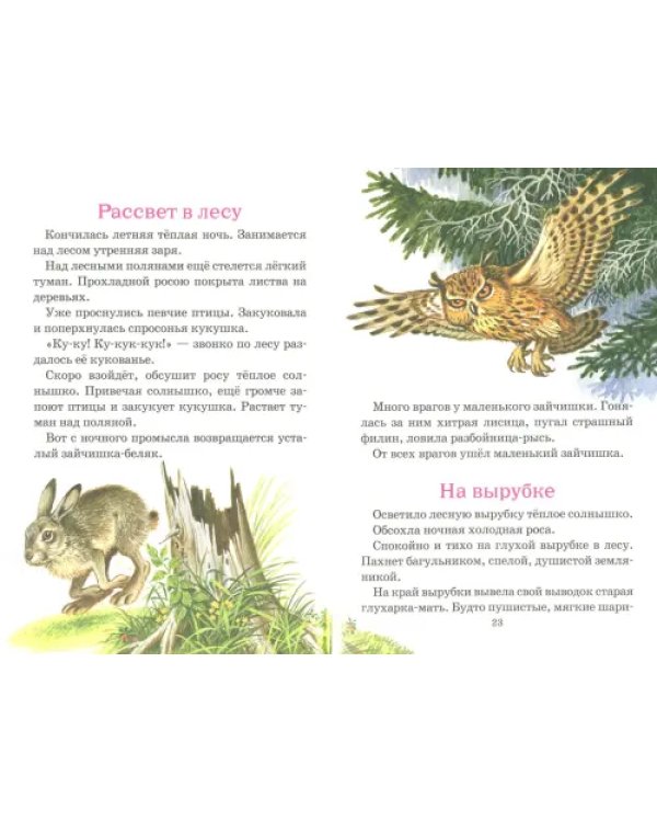 Рассказы о природе