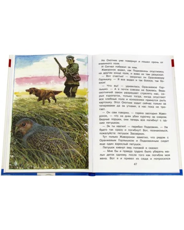 Тайна ночного леса