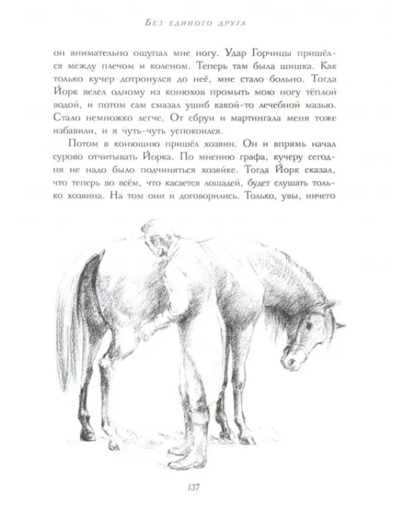 Черный красавчик