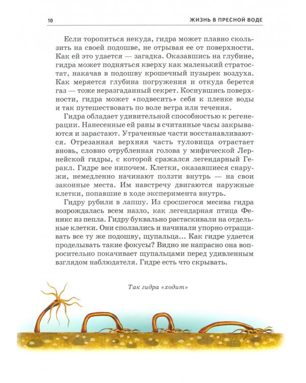 Жизнь в пресной воде