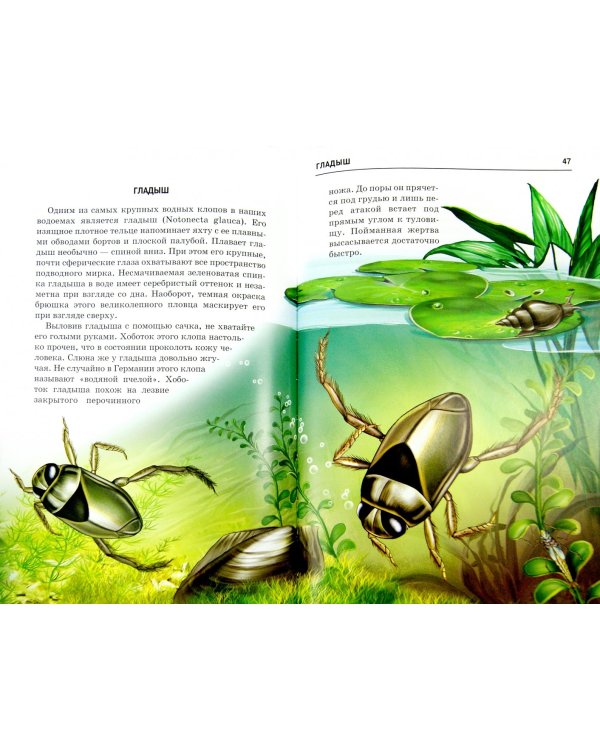 Жизнь в пресной воде