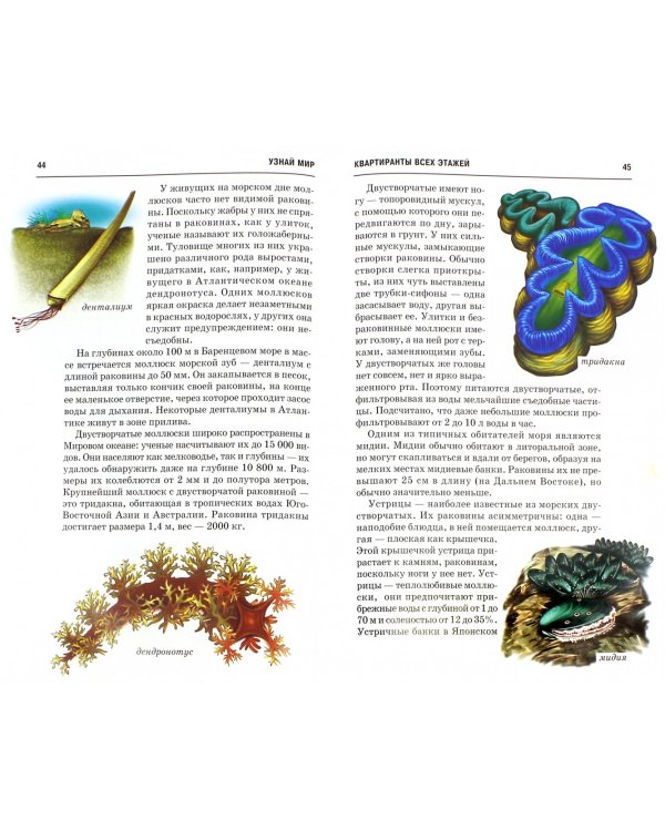 Жизнь в соленой воде. Школьный путеводитель