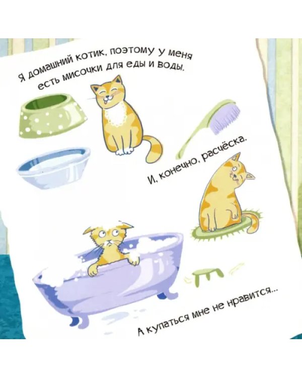 Знакомься, я котенок