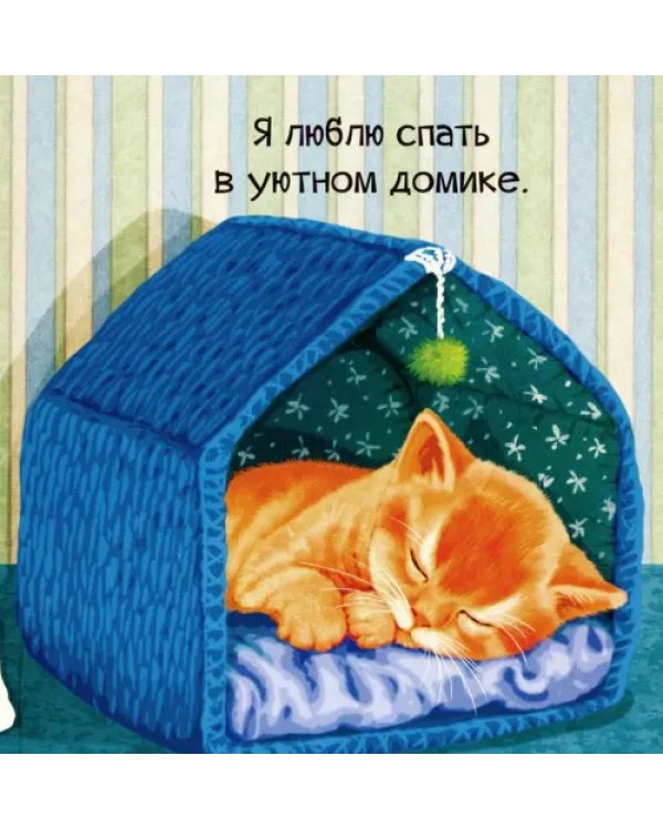 Знакомься, я котенок
