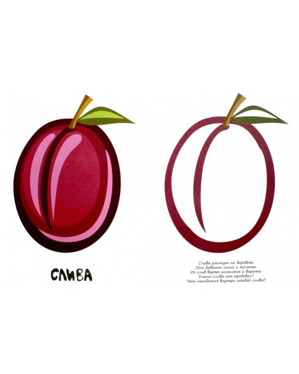 Фрукты. Ягоды