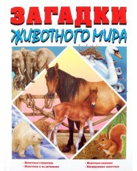 Загадки животного мира