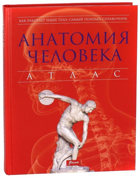 Анатомия человека. Атлас