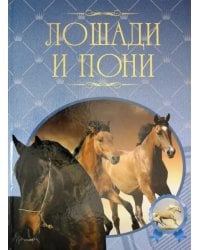 Лошади и пони. Иллюстрированная энциклопедия