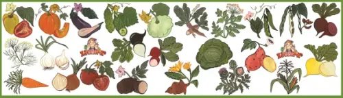 Набор наклеек. Моя корзинка. Овощи. Выпуск 2 Набор наклеек. Моя корзинка. Овощи. Выпуск 2