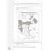 ВПР История. 7 класс. Практикум по выполнению типовых заданий. 10 вариантов заданий. Подробные крит.