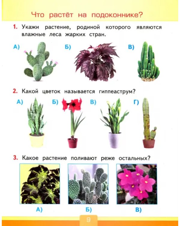 Окружающий мир. 1 класс. Тесты. К учебнику А.А.Плешакова