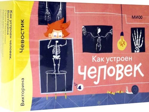 Викторина с Чевостиком. Как устроен человек Викторина с Чевостиком. Как устроен человек