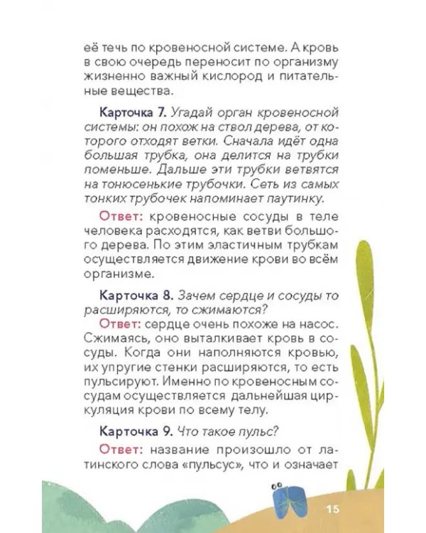 Викторина с Чевостиком. Как устроен человек