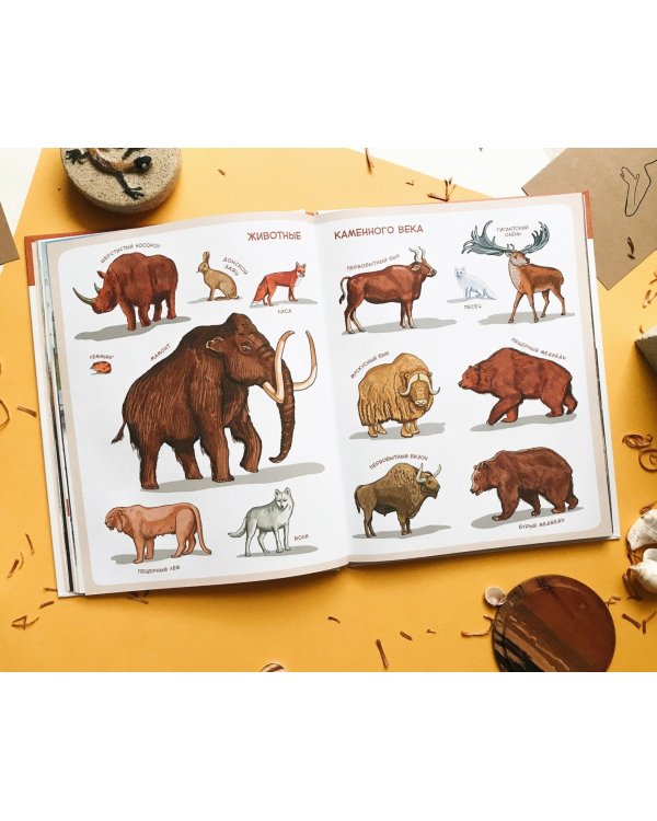 Каменный век