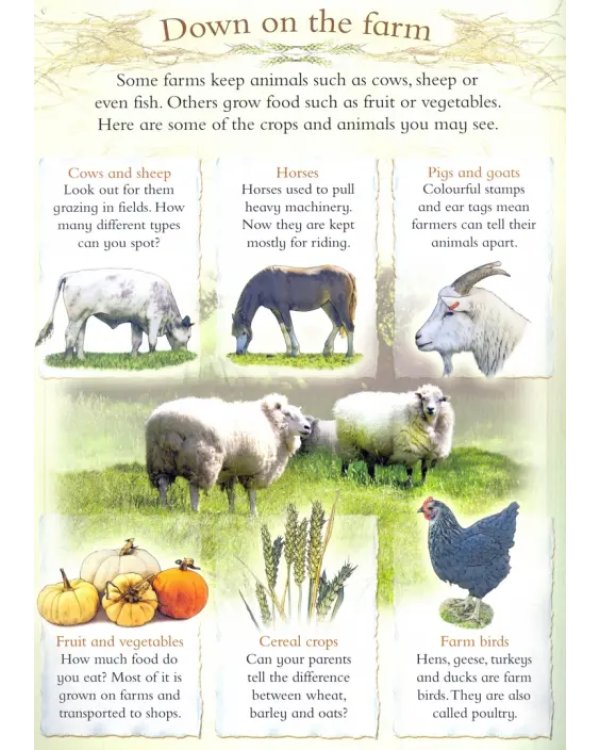 Let's Look On Farm (+ 30 reusable stickers)