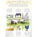 Let's Look On Farm (+ 30 reusable stickers)