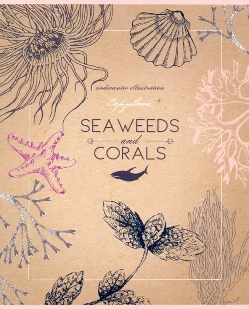 Тетрадь 48 листов, КОРАЛЛОВЫЙ РИФ (48-1188)