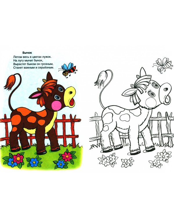 В деревне и на даче