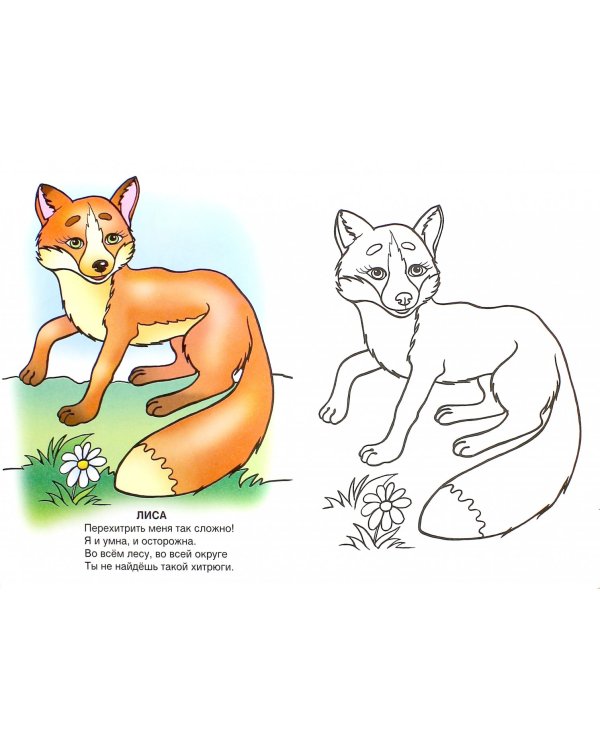 Ребятам о зверятах