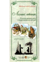 Животный мир "Лесные птицы. И песню раннюю..."